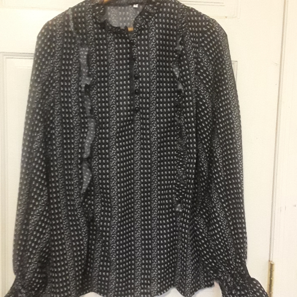 Sheer,ruffled blouse